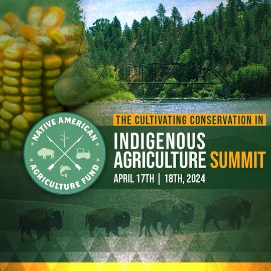 Join us LIVE at the Cultivating Conservation in Indigenous Agriculture Summit! April 17th & 18th from 1 PM - 5 PM CT • listen and join the conversation as panelists discuss conservation efforts in Indigenous communities. Click the link below: myemail-api.constantcontact.com/Cultivating-Co…