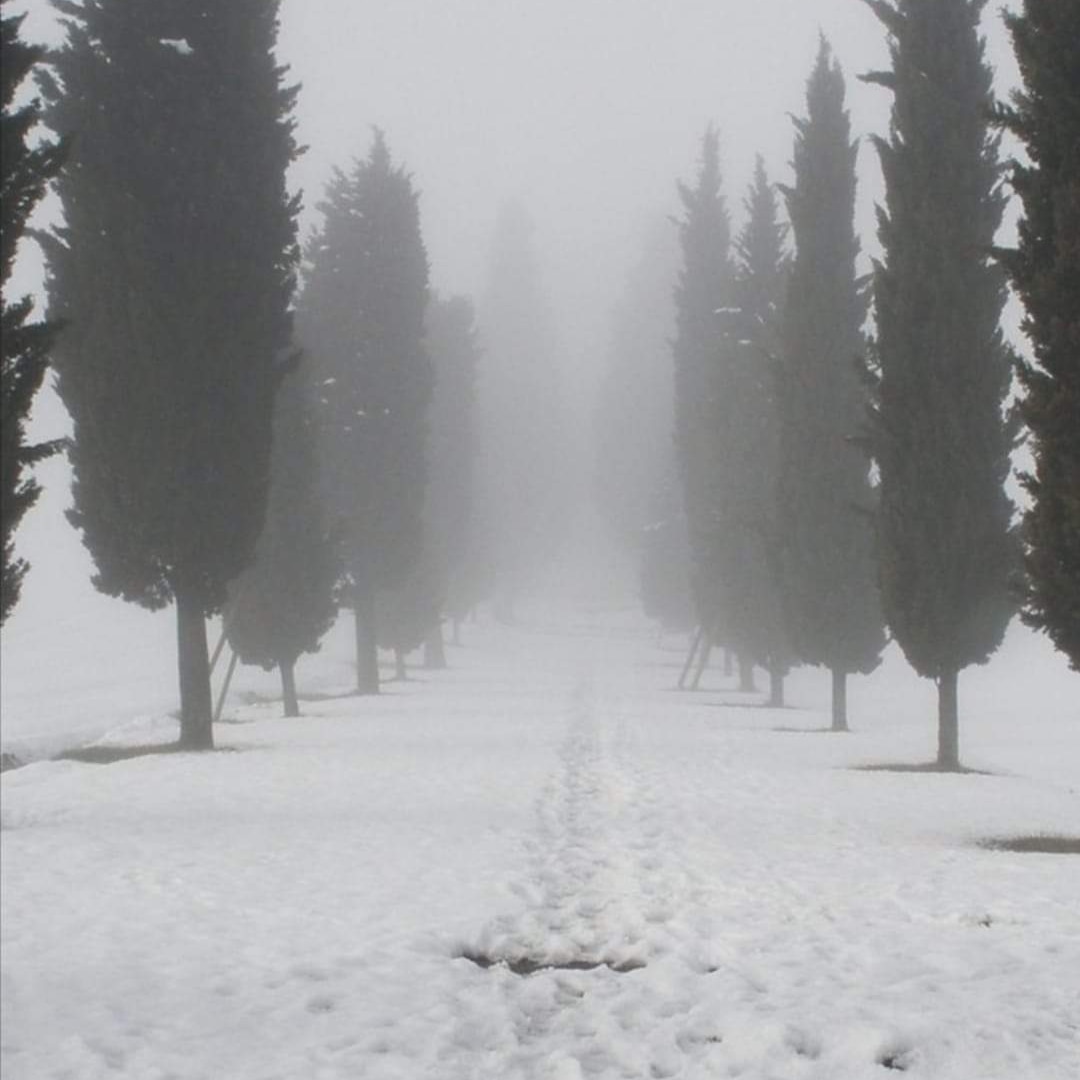 "Viaggiando in lungo e in largo per il mondo ho incontrato magnifici sognatori, uomini e donne che credono con testardaggine nei sogni. Li mantengono, coltivano, condividono, moltiplicano. Io umilmente, a modo mio, ho fatto lo stesso."
Luis Sepulveda 
#VentagliDiParole