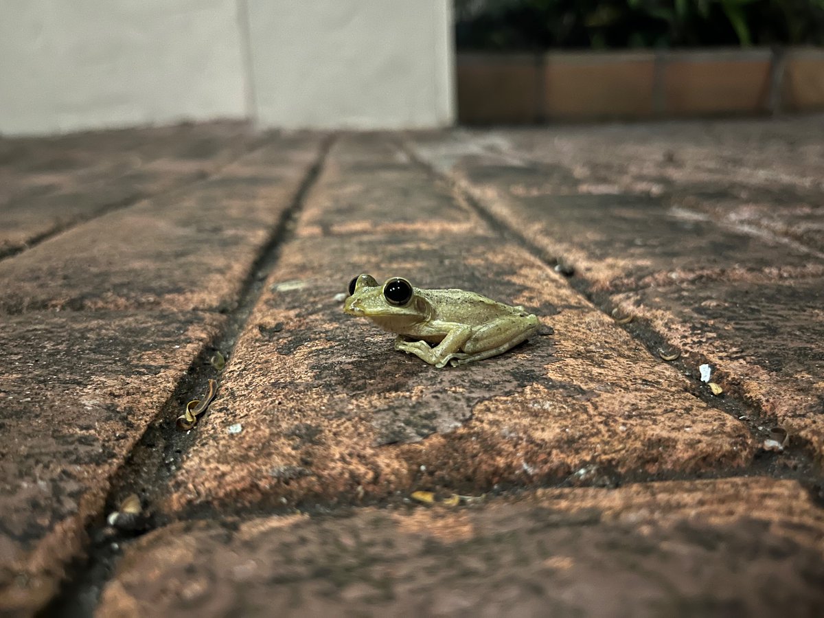 Anne Sabol, PhD tweet media