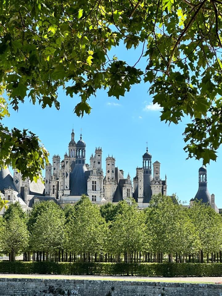 💡 Profitez de toute la richesse naturelle de #Chambord en empruntant les 30 km de sentiers ouverts au public !

👉Le plan des promenades vous aidera à préparer votre balade : chambord.org/fr/agenda/gran…