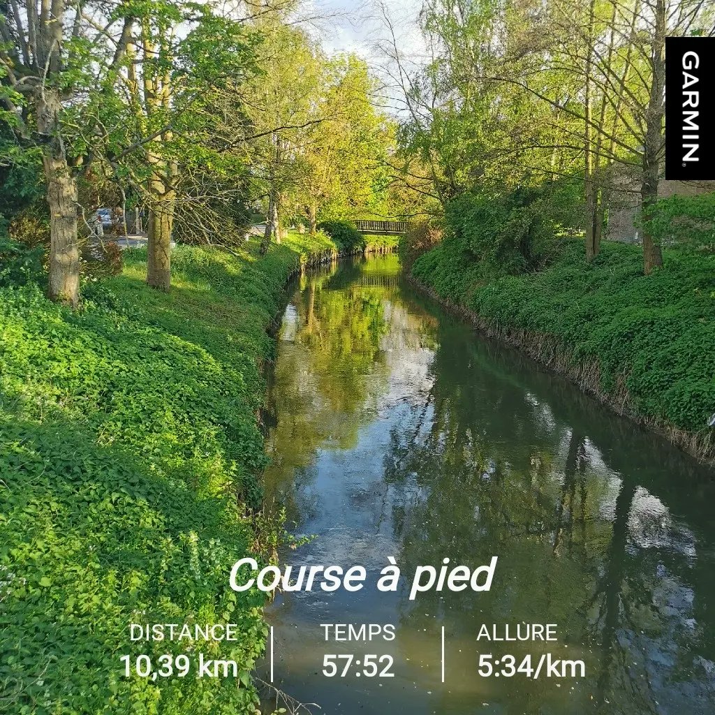soanito's tweet photo. Petite sortie pour affûtage, tous en Aerobie. 😂
J-3 avant NTMF 115k
Un grand rdv pour mes futur objectifs
J'ai rdv avec mon futur macfly !!
#running #runner #trailrunning #runnerworld #run #runningman #runnerlife #ラン #ランニング #トレイルランニング #correr #corrida #Runart https://t.co/E85sB3MLa2