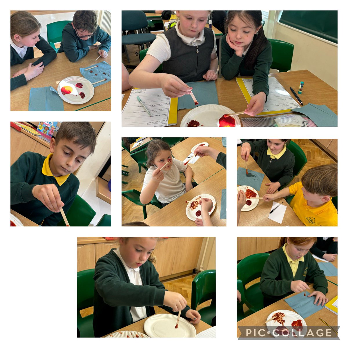 BellfieldPS's tweet photo. In science today Class 4 investigated liquids. We had 3 different sauces and we investigated to see which sauce had the best viscosity to be put on a hot dog! 🌭 The children worked in pairs to come up with their own experiment and had lots of fun researching. #BellfieldScience https://t.co/ThxivW8w8H