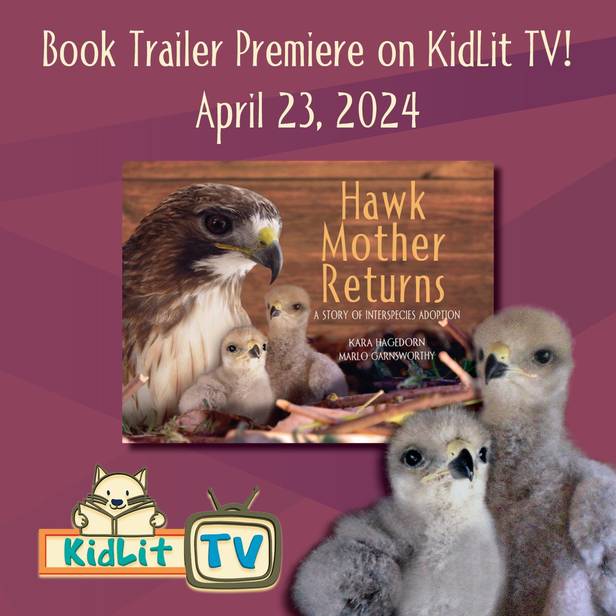 WebOfLifeBooks's tweet photo. Look what's hatching on April 23! These cute little chicks will be on @KidLitTV_NYC https://t.co/ieAuMf3VZY