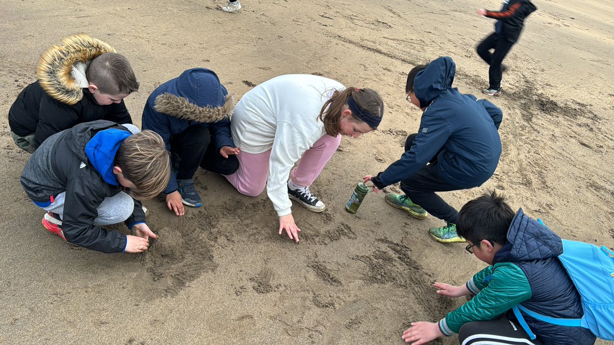BrookfieldSM3's tweet photo. Fun and games on the beach at Westward Ho this evening. 
#BFDevon24  #WeAreLEO https://t.co/SV5K2P2y6R