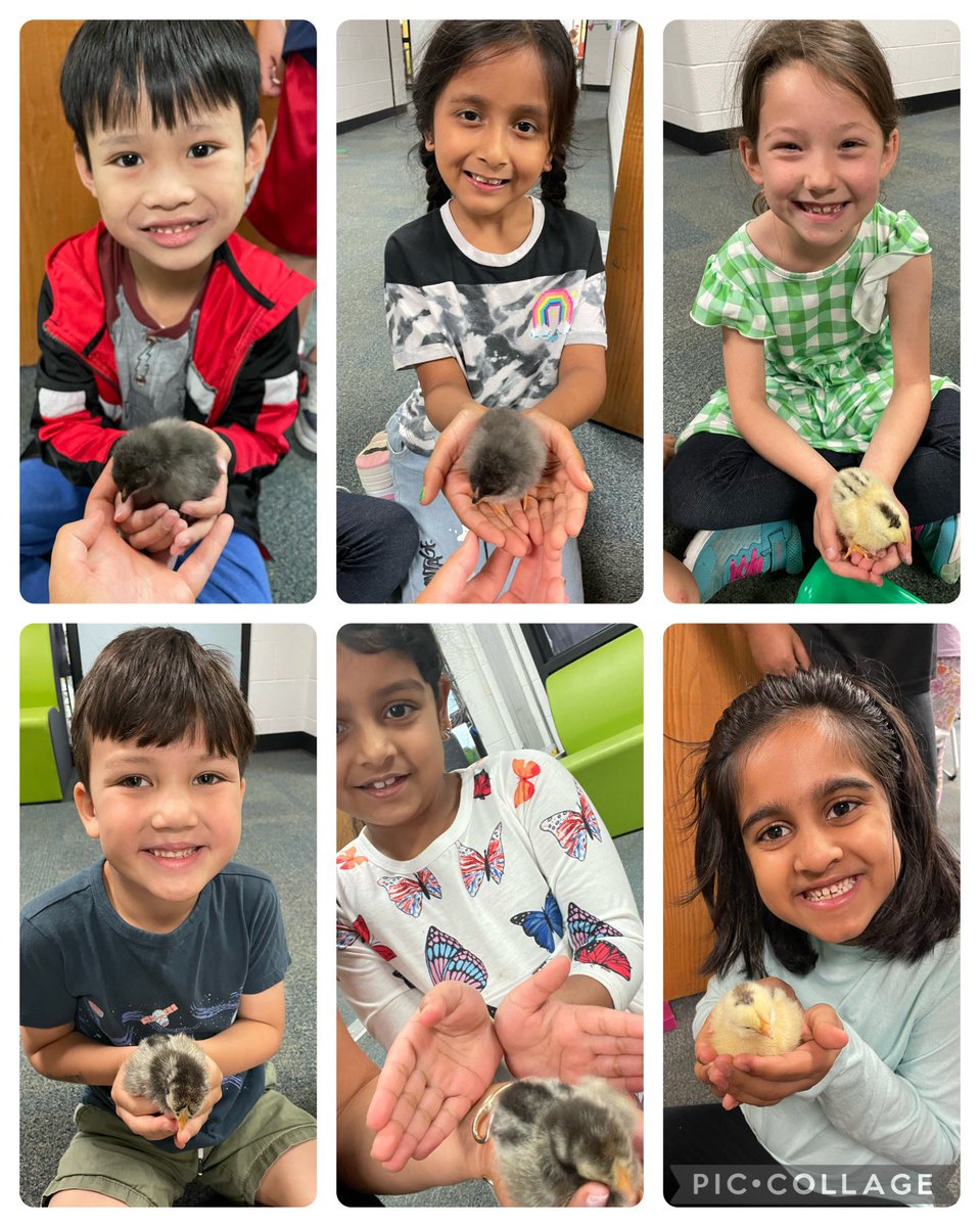 Ms. Manning tweet media