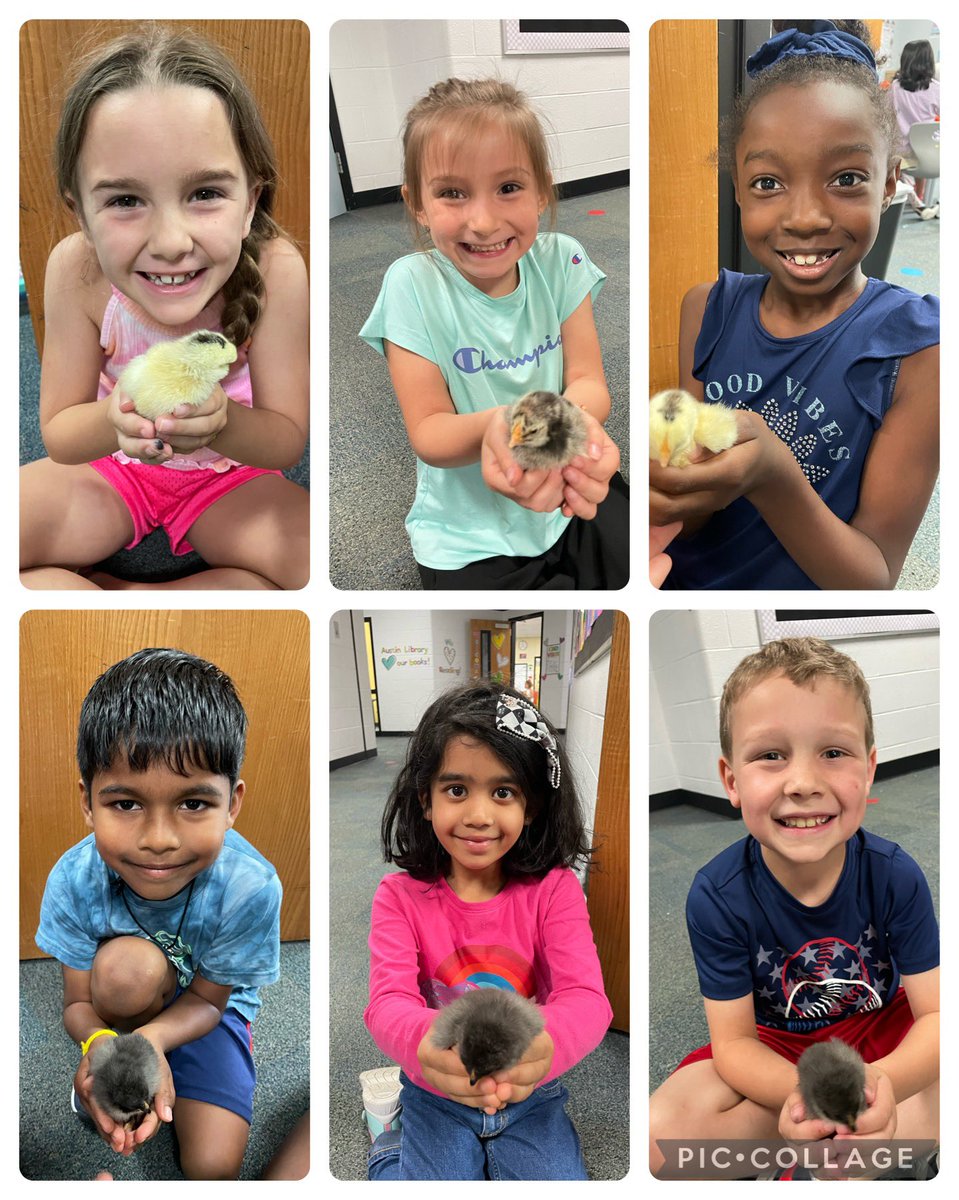 Ms. Manning tweet media