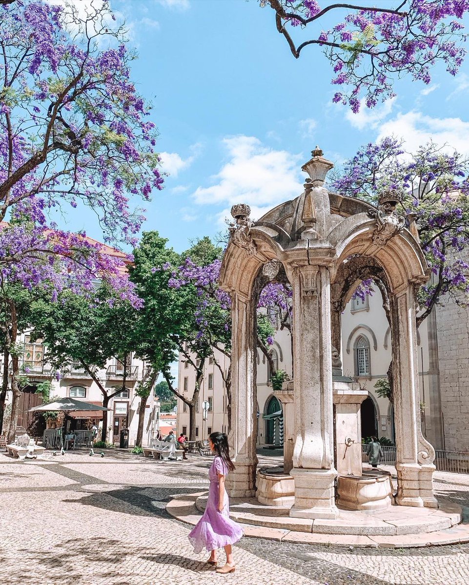 Living in a postcard 💜 

#VisitLisboa
visitlisboa.com
📍 Lisboa 
📷  @vera_fferreira