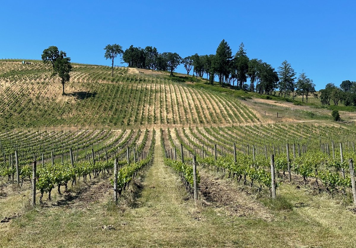 Can Wine Save the Planet?: Now that we have your attention, let us explain the basis of that question. Inspired by climate change and its effect on farming/agriculture, our good friends Robin and Michael Renken at Crushed… bit.ly/3W2rcSz by @allison_wallace #vino #wine