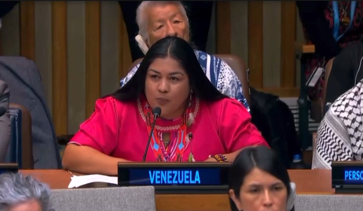 Ministerio Indígena tweet media