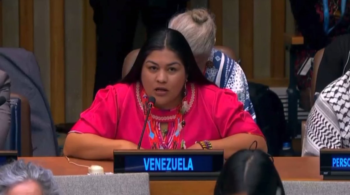 Ministerio Indígena tweet media