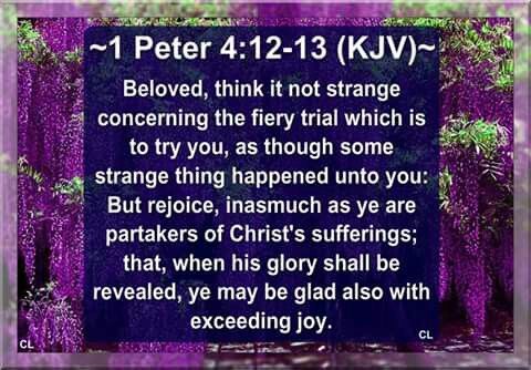 ~~~ 1 Peter 4:12-13 KJV 🌿🕊️🫶