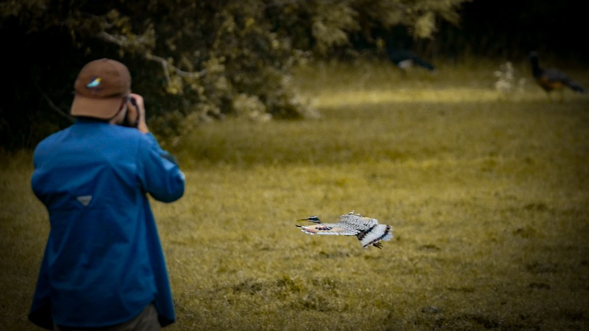 Mato Grosso do Sul tweet media