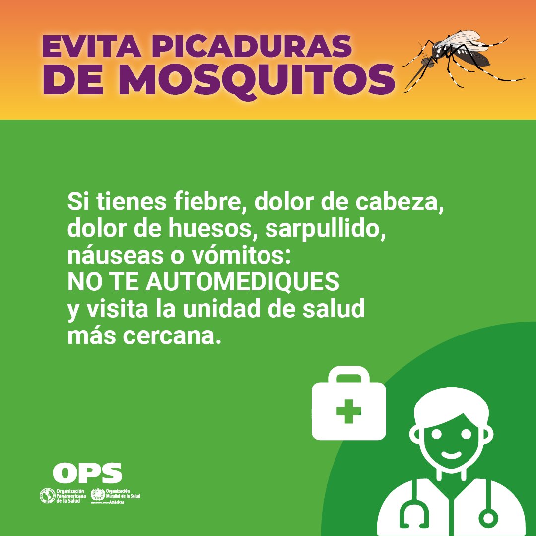 🔴ATENCIÓN: identifica los síntomas de #Dengue y #Chikunguña. Lee más 👇🏽 paho.org/es/temas/vecto…