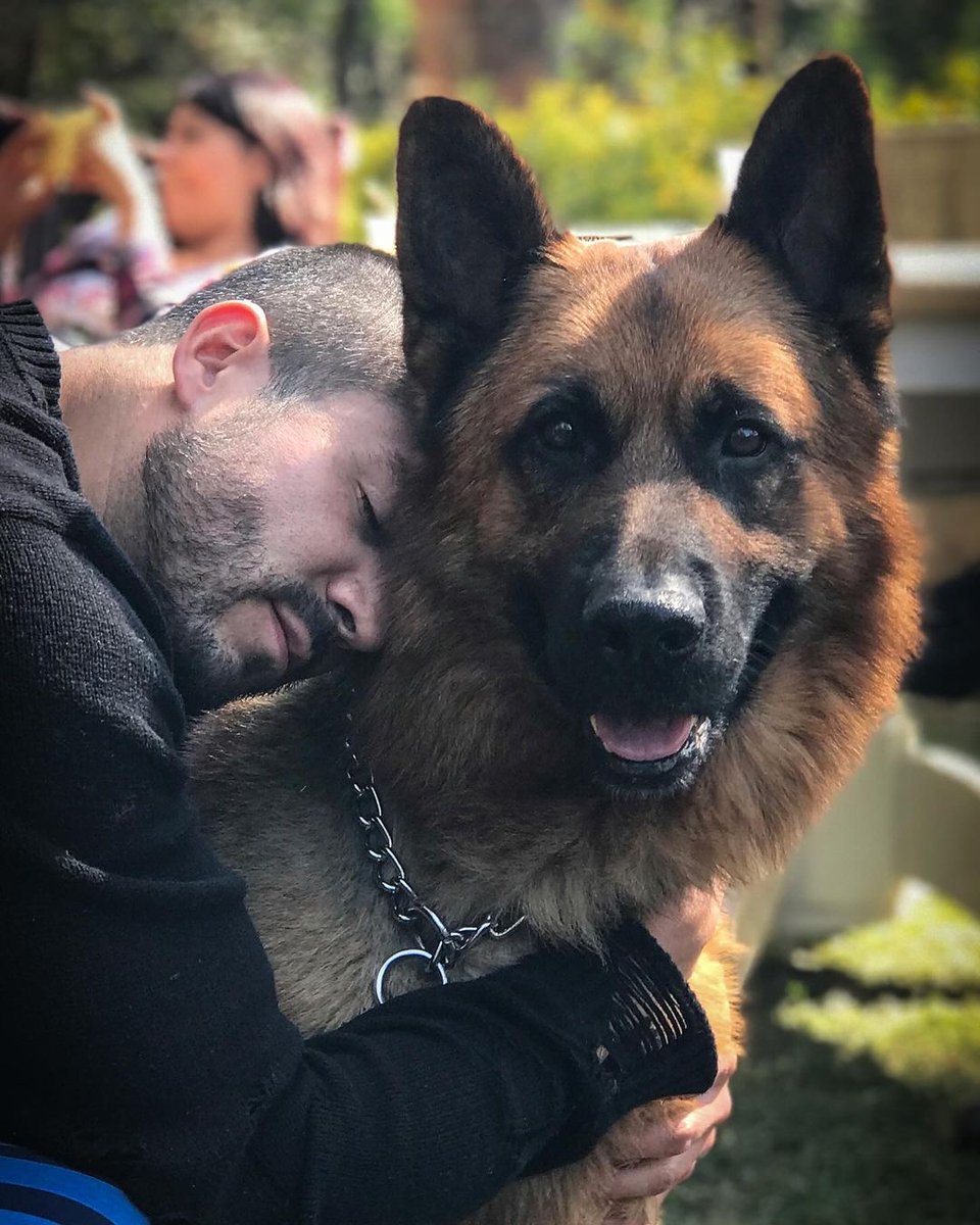 Univision's tweet photo. Con estas lindas fotos #JoséRon recordó a su querido amigo #Skiro. 🐶💕
📸 José Ron https://t.co/W56lGbsIV5
