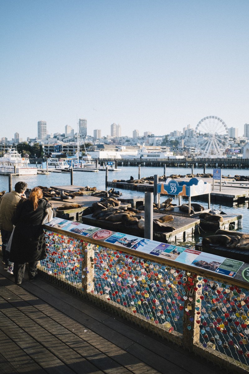 protocollabs's tweet image. ✔️ That’s a wrap, SF!

🙏 LabWeek Public Goods was officially a success thanks to your participation. Many thanks for sharing your ideas, collaborating with us to explore future solutions, and having fun in San Francisco.

#LabWeekPG 🌿