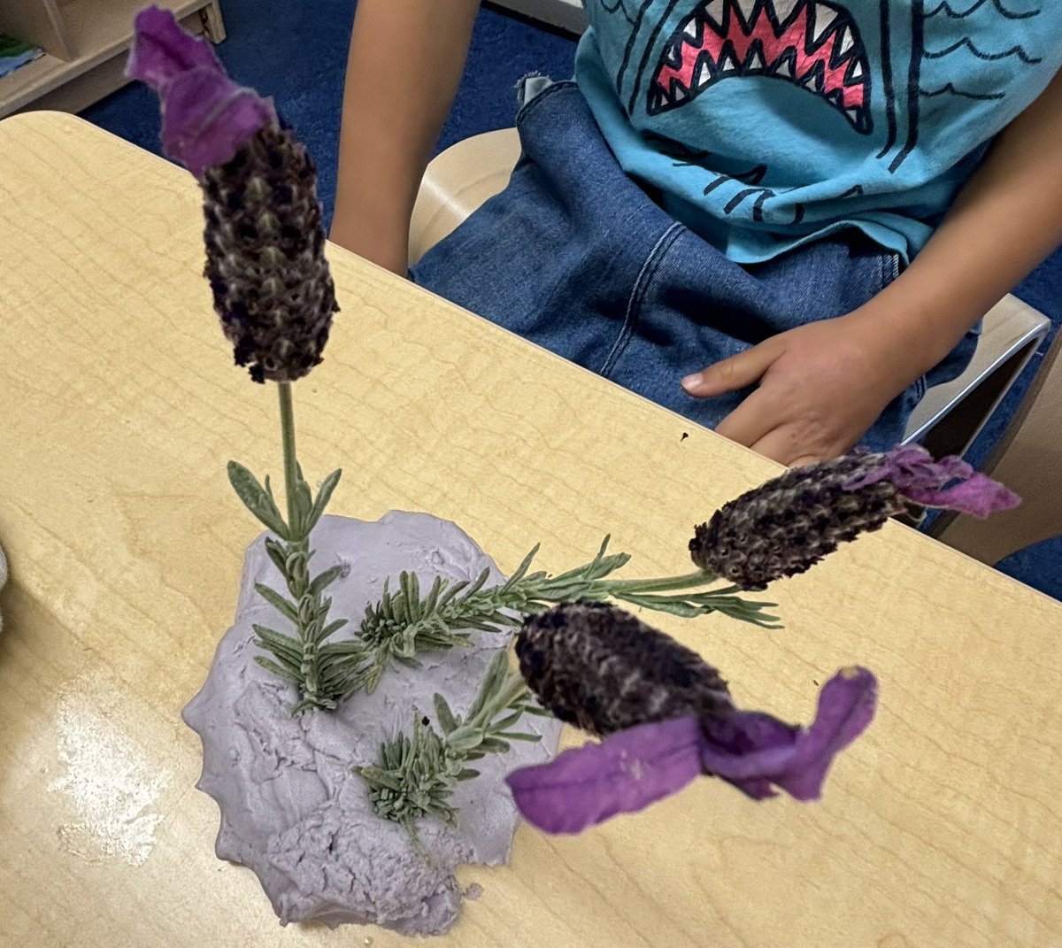 We made lavender play-doh and recorded our observations! 💜👃🏽