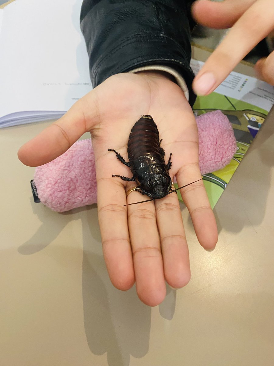 Thought provoking visit to @thebugfarmUK today - increasing biodiversity (wild meadows), decreasing intensive farm practises (pesticides) and promoting food sustainability (eat bugs!) - students made some new friends @uniofbrighton @BrightonUniGeo