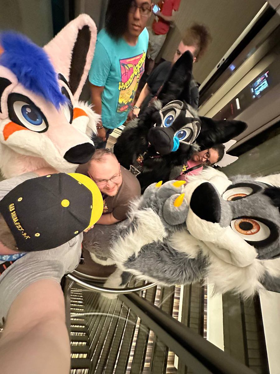 Finn770123's tweet photo. Elevator lit pit!!
๐จ @MoreFurLess
๐ธ @koopershiba
#furry #fursuit #furryfandom #morefurless #fwa #fwa23 #furryweekendatlanta #furryweekendatlanta23 https://t.co/RulbaLyYMR
