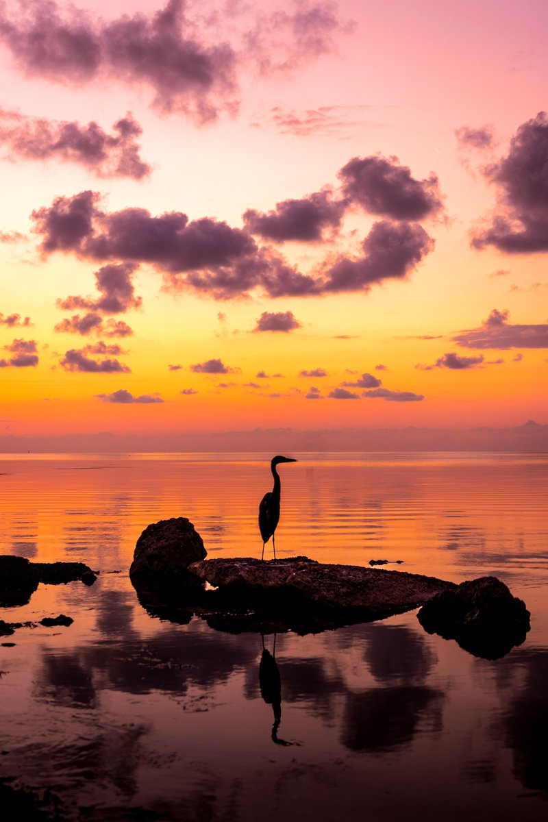 Remembering Senator Bob Graham's impactful legacy with gratitude. Our heartfelt condolences to the Graham family. His dedication to FL's environment is legendary, safeguarding millions of acres, including the St. Johns &amp; Kissimmee watersheds. His legacy inspires us. #BobGraham