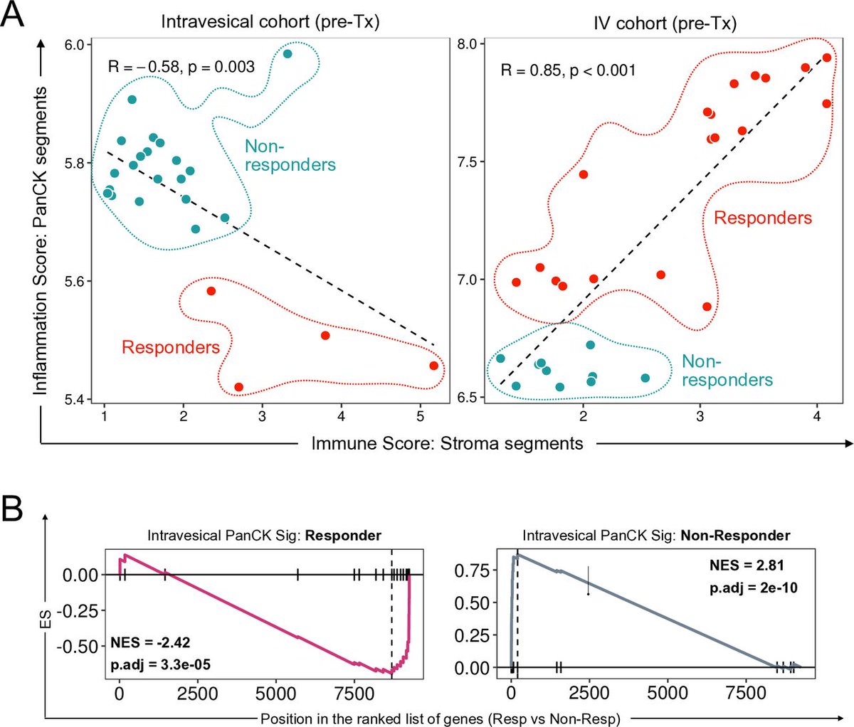 New #JITC short report: Spatial comparison of molecular features associated with resistance to pembrolizumab in BCG unresponsive bladder cancer bit.ly/3UkUNVL @NFryden @bonnie_choy @JoshMeeks