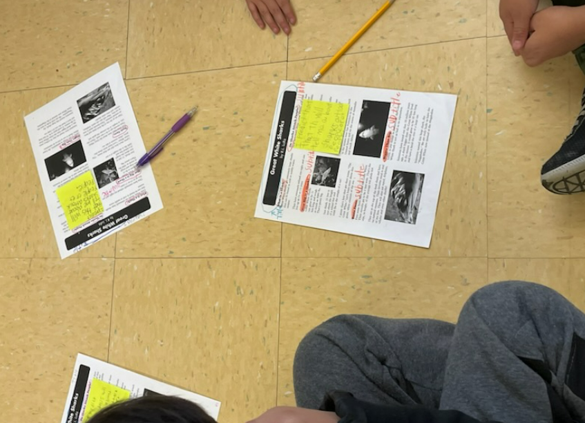 MissMirra2's tweet photo. When we learned about text features, we focused on labeling subtitles and thinking about their importance! We chose one to make a prediction about what the section would be about before we read! #Readingskills #ESL https://t.co/nuyXkxK3Jk