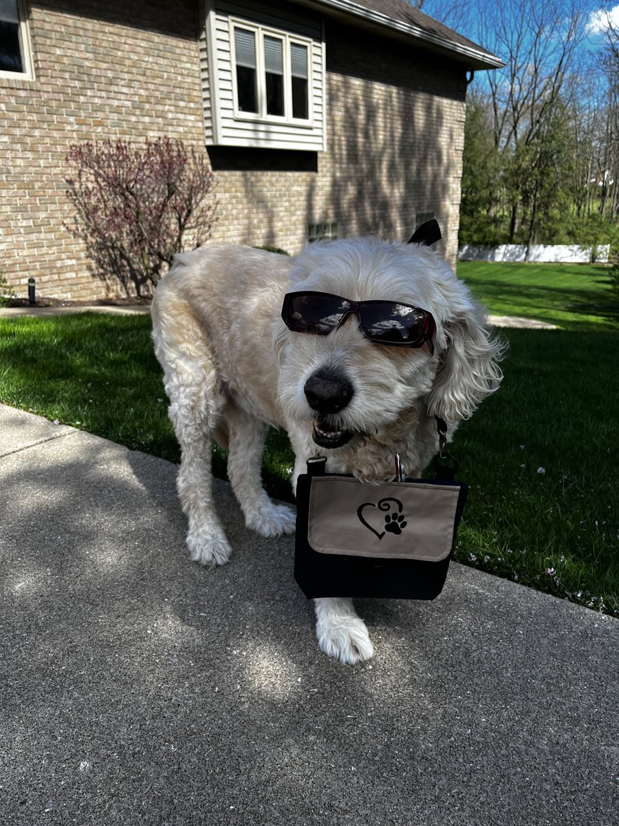 Uh oh! Now wait a minute something doesn't seem right🤔 

There we go! Silly me still had on my eclipse glasses🌒🕶️ 

At least I remembered to bring my WoofPack 👜 get yours at woofpacktrails.com

#WoofPack #WoofPackWednesday #eclipse #sunglasses #silly #dog #bag #petproduct