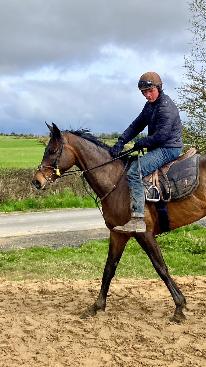 COTTIE runs in a £50,000 handicap hurdle tomorrow at @CheltenhamRaces ⭐️ We’re looking forward to heading to Prestbury Park to support her! Best of luck to all of her owners 🍀 @DSkeltonRacing | @harryskelton89