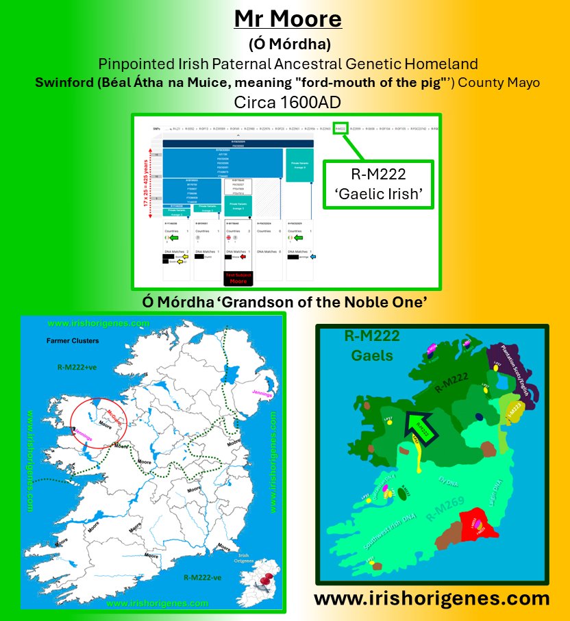 Commercial Y-DNA testing has become so fine tuned that Pinpointing your Irish Origin takes minutes! Where in Ireland will you DNA take you? irishorigenes.com #Ireland #Irish #DNA #discoverireland #Celtic #loveireland #irelandtravel #wildatlanticway