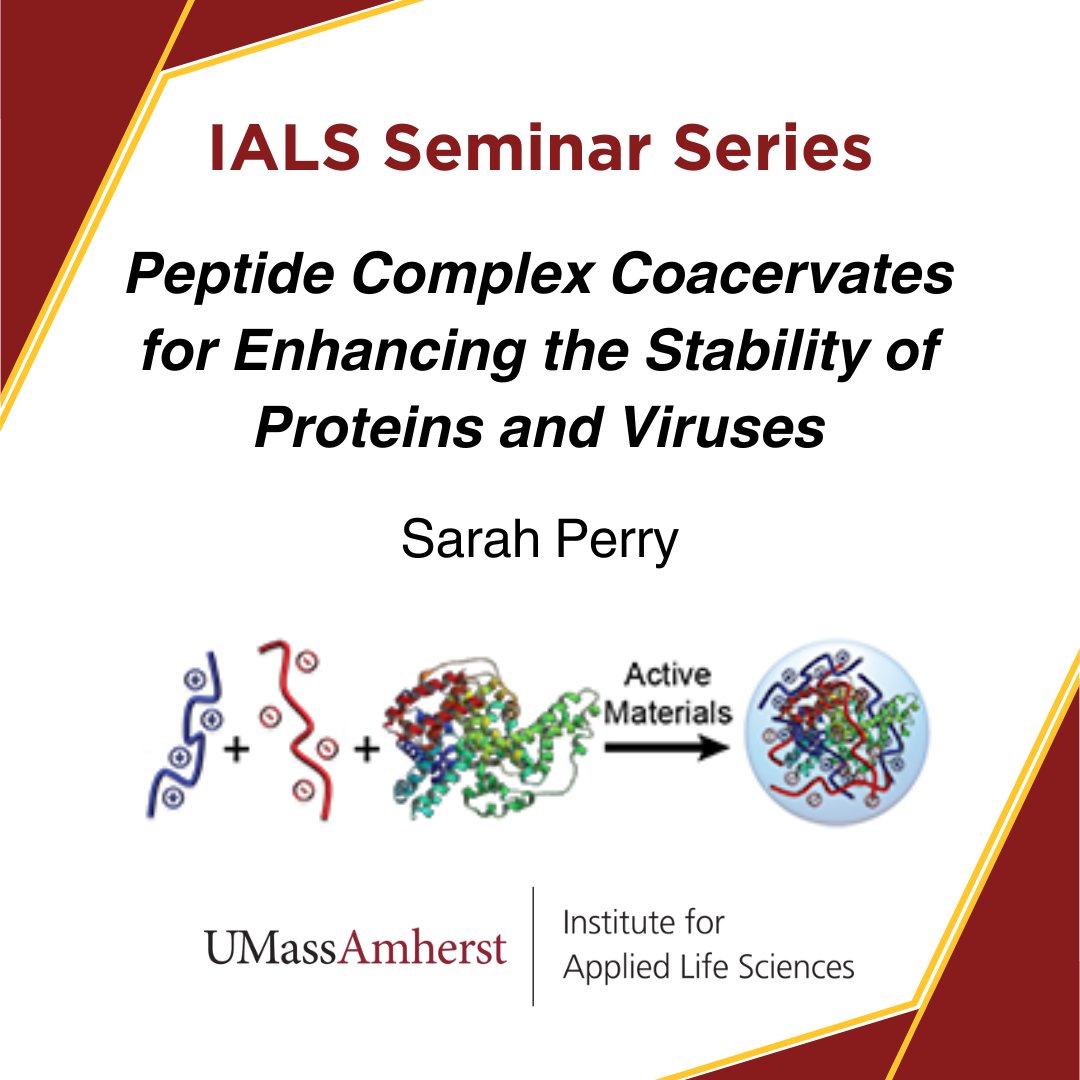 Join us for the next lecture in our Spring Seminar Series! Sarah Perry, Chemical Engineering, M2M 'Peptide Complex Coacervates for Enhancing the Stability of Proteins and Viruses' April 23rd, 2-3pm LSL N410 Register: docs.google.com/forms/d/e/1FAI… #IALSSeminarSeries