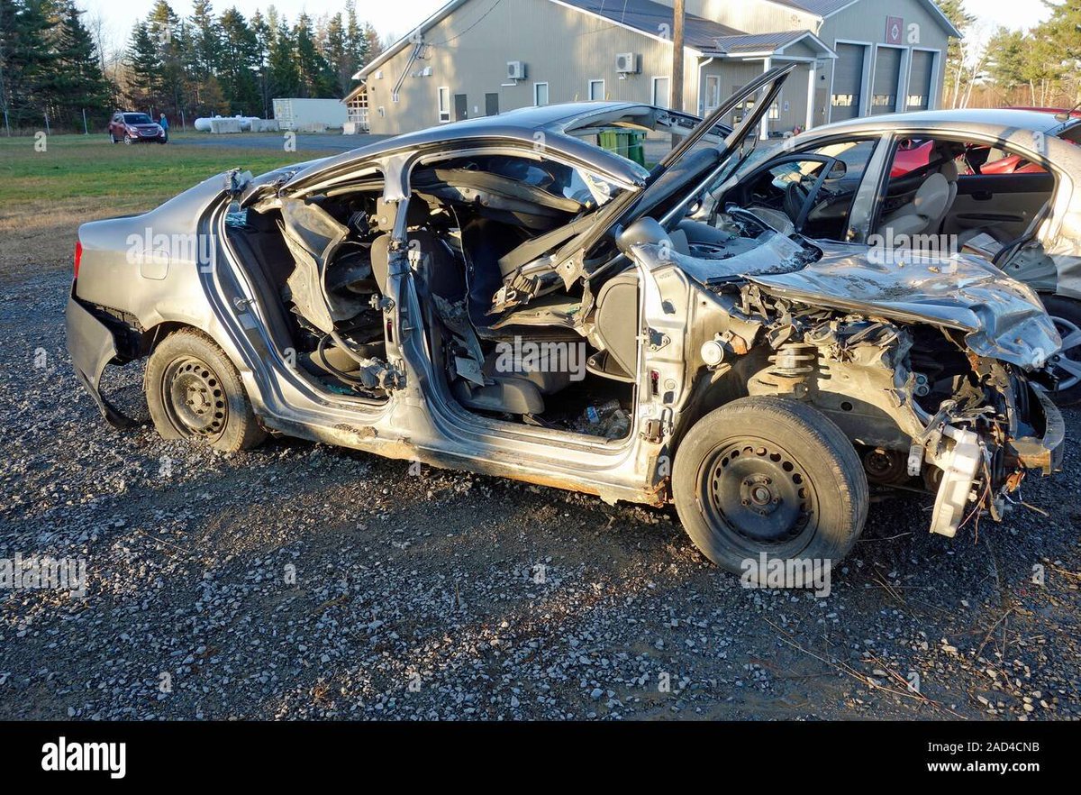 _PCB_Official's tweet photo. PCB Medical Committee has cleared the below vehicle for driving. No issues identified by Dr Saleem and his team. https://t.co/wrQWSGFdQa