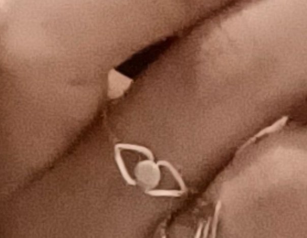 paulapedi2001's tweet photo. He perdido en el centro de Málaga un anillo de mi madre. Tiene un valor personal muy importante para mí, sobretodo ahora que vivimos lejoss 😭. Si lo encuentra alguien me harían suuuuuper feliz 🥺 Y un RT también me ayudaría mucho!!!💖 #Málaga #callelarios #malagacentro #Malaga https://t.co/dhM7nOmRRl