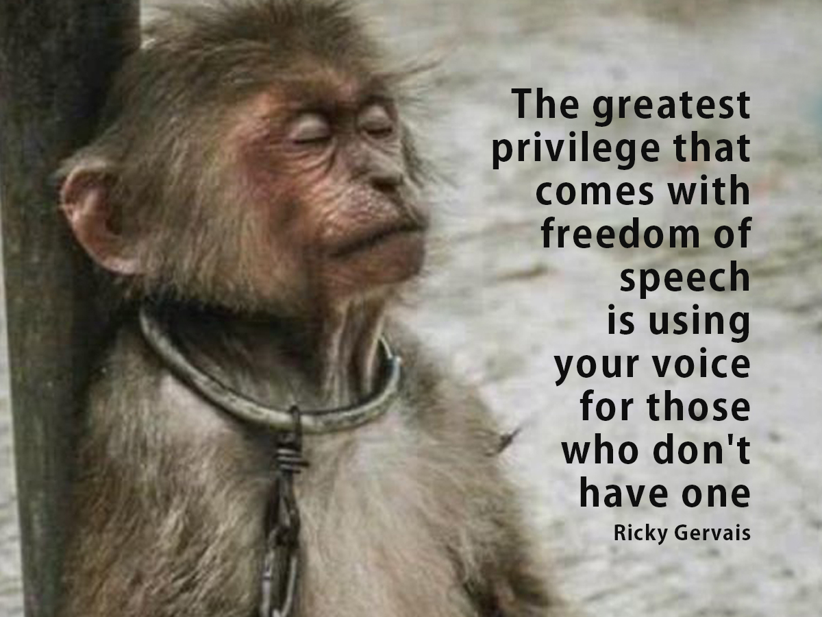 We all know white supremacy is a morally repugnant fascist mind-virus that causes holocausts. Human supremacy is exactly the same but non-humans know fascists rule their world🐒 #Vegan🐾💞#AnimalRights @RickyGervais @PeterEgan6 @Protect_Wldlife @Veganella_ @hilltopgina #BeVegan