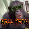 hivnegative's tweet photo. @FranchoSol $HELLYA https://t.co/XGhZSsstOl