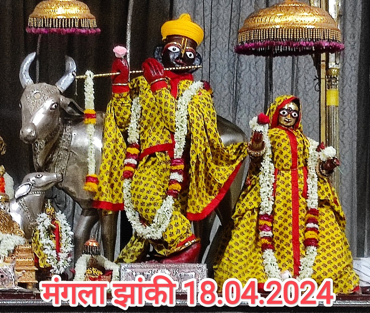 GOVINDDEVJI MAHARAJ (@GovindMandir) on Twitter photo 2024-04-18 00:08:47