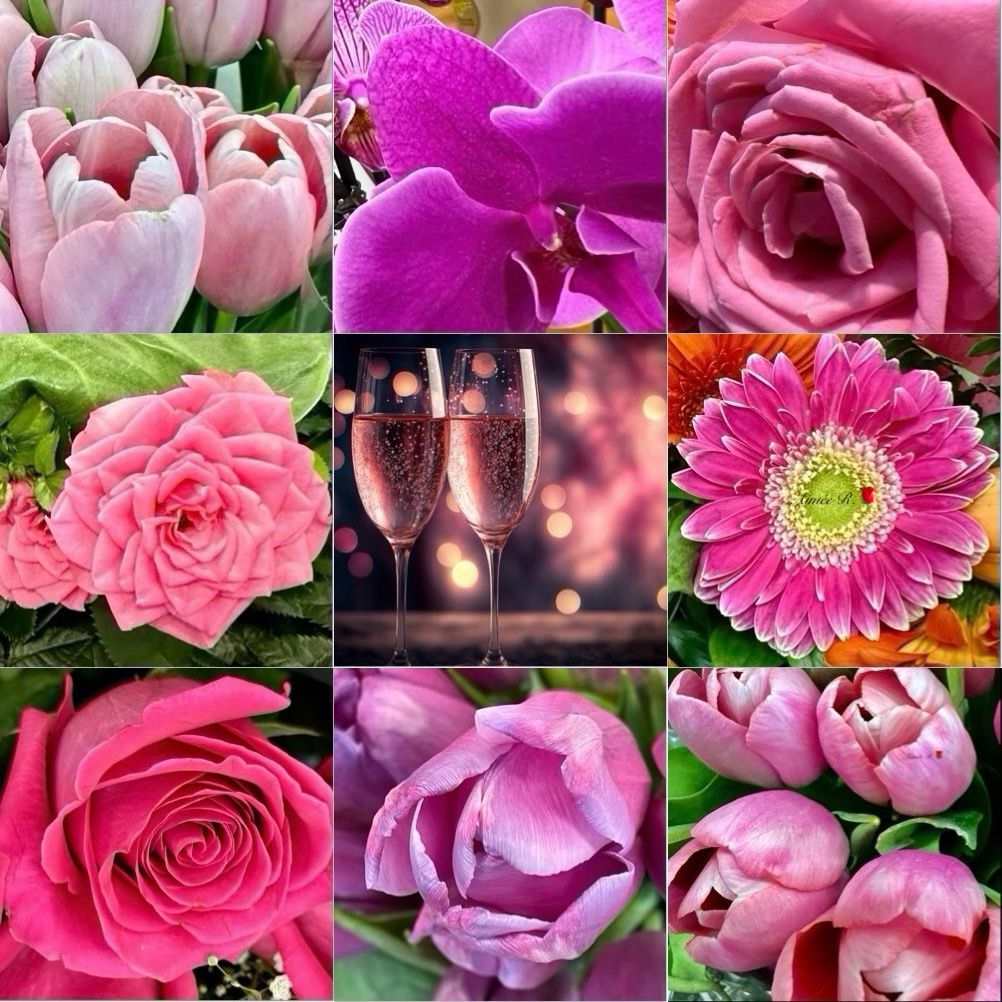 Happy Thursday🩷🌸🌸🌸 If Pink is your favorite color it you are loving, kind, & sensitive individual with a strong nurturing &sensual side. Your romantic view is sweet, charming & makes you a delicate & lovable individual. 'Look on the pink side of life.'-unknown My📷