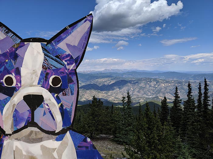 megancoyle's tweet photo. The Adventures of Bosty continue - this time he goes to Denver, CO https://t.co/bXGGMH0R6Z #collage #bostonterrier #denver #travels https://t.co/frdbbSbsM4