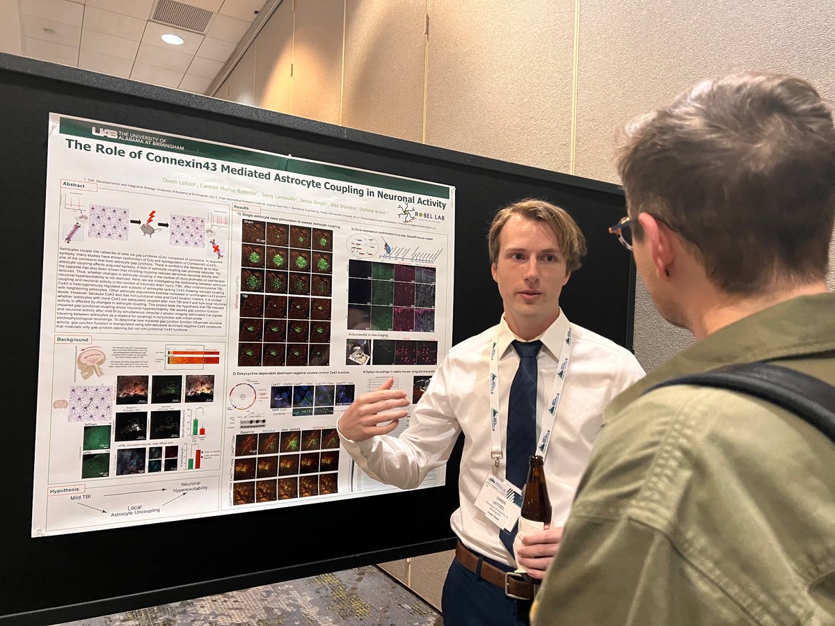 Happening now! @LeitzelOwen presenting on the role of Connexin43 mediated astrocyte coupling in neuronal activity. #2pimaging #cooltools P02.45 @ASNeurochem