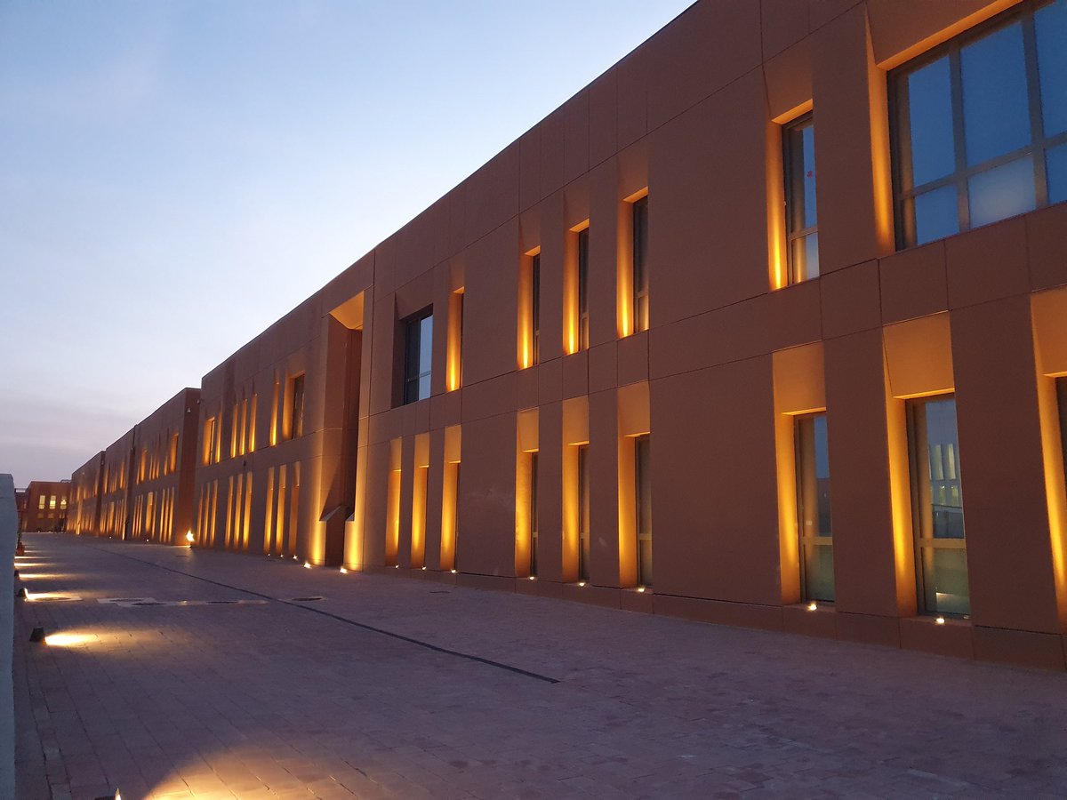 Joaquin Silvestre tweet media