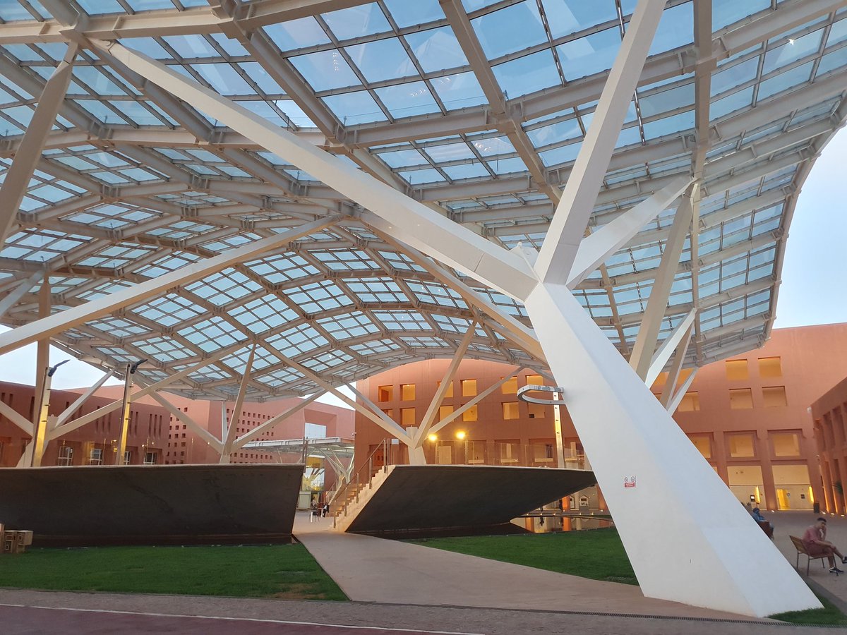 Joaquin Silvestre tweet media