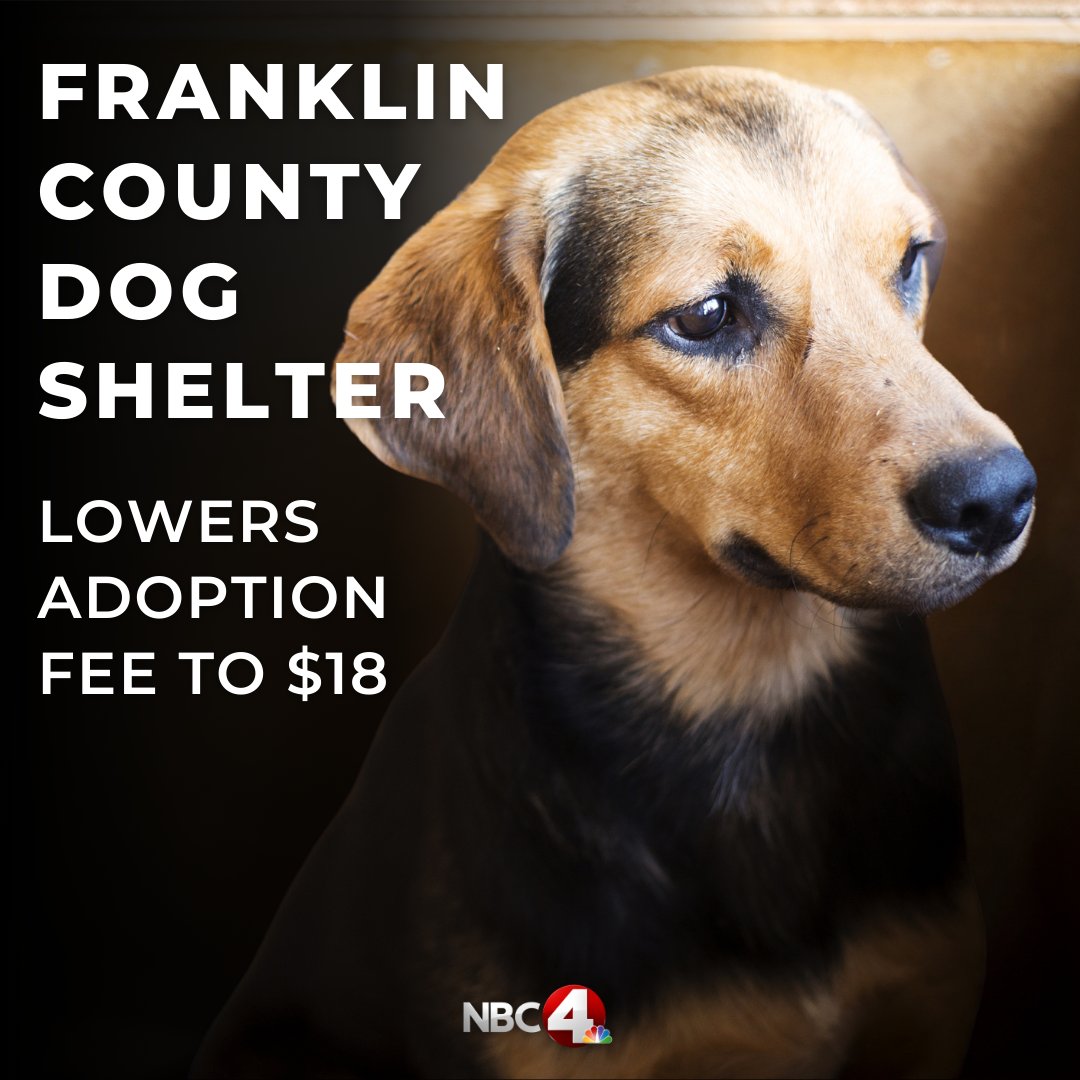 Now through April 30, all dogs six months of age and older can be adopted for just $18.
DETAILS: nbc4i.co/4424r2W