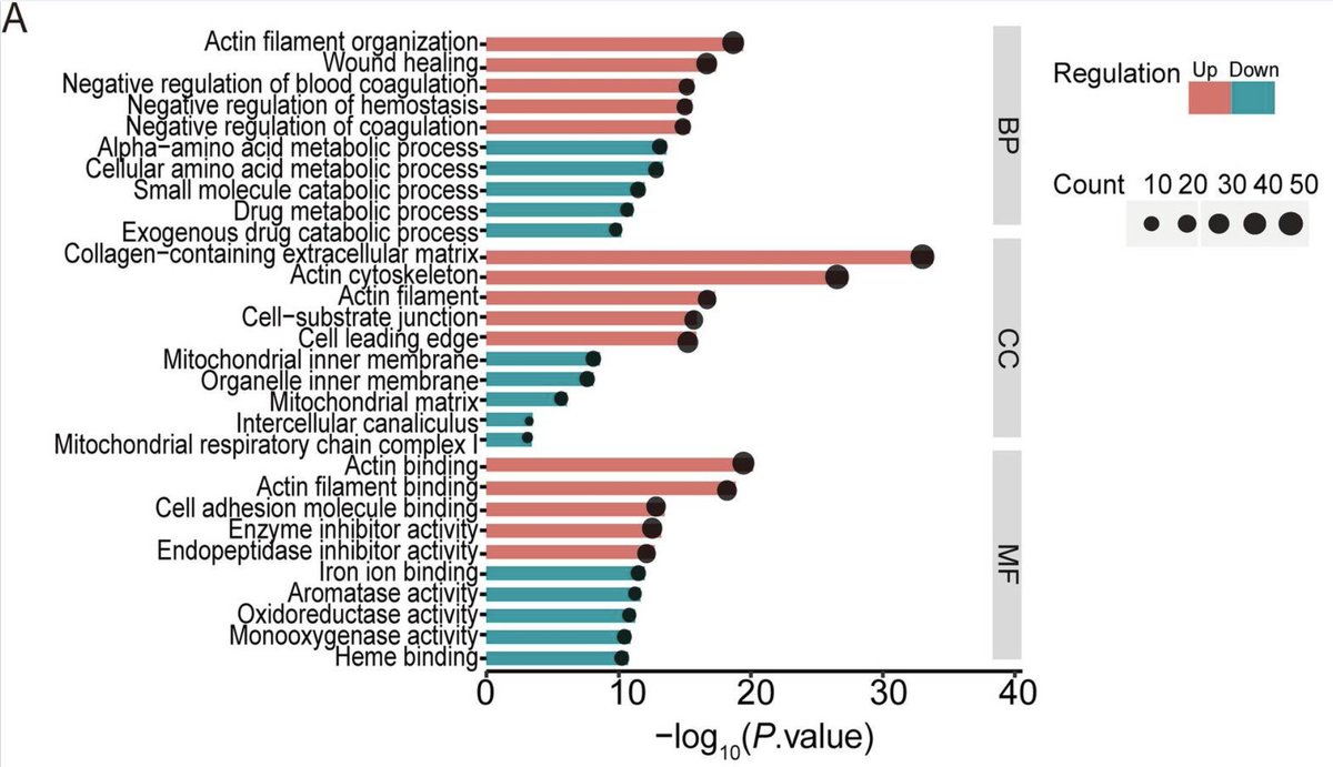 Gene Ontology @go@genomic.social (@news4go) on Twitter photo Today's paper highlight: new <a href="/SciReports/">Scientific Reports</a> that uses #GeneOntology and could help advance research on liver cancer #CancerResearch
community.alliancegenome.org/t/go-and-hepat⦠Today's paper highlight: new <a href="/SciReports/">Scientific Reports</a> that uses #GeneOntology and could help advance research on liver cancer #CancerResearch
community.alliancegenome.org/t/go-and-hepatā¦