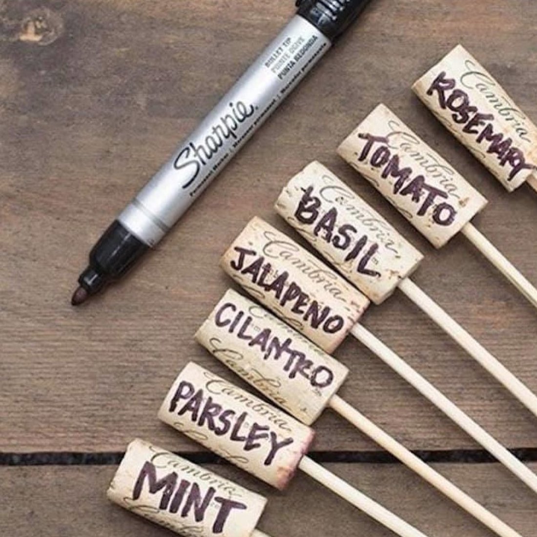 upcycled_bottle's tweet photo. Cork becomes more and more rare. But if you still have some, here's a nice re-using project.

#reuserecycle #corkkraft https://t.co/fOYo4OrR8T