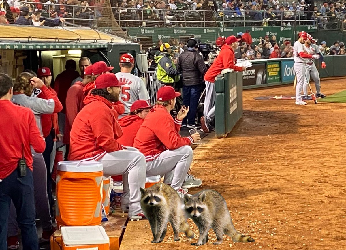 Say what you will about the Oakland Coliseum, but their custodial team does a phenomenal work with the trash!!!

#RootedInOakland 
#ForTheLou