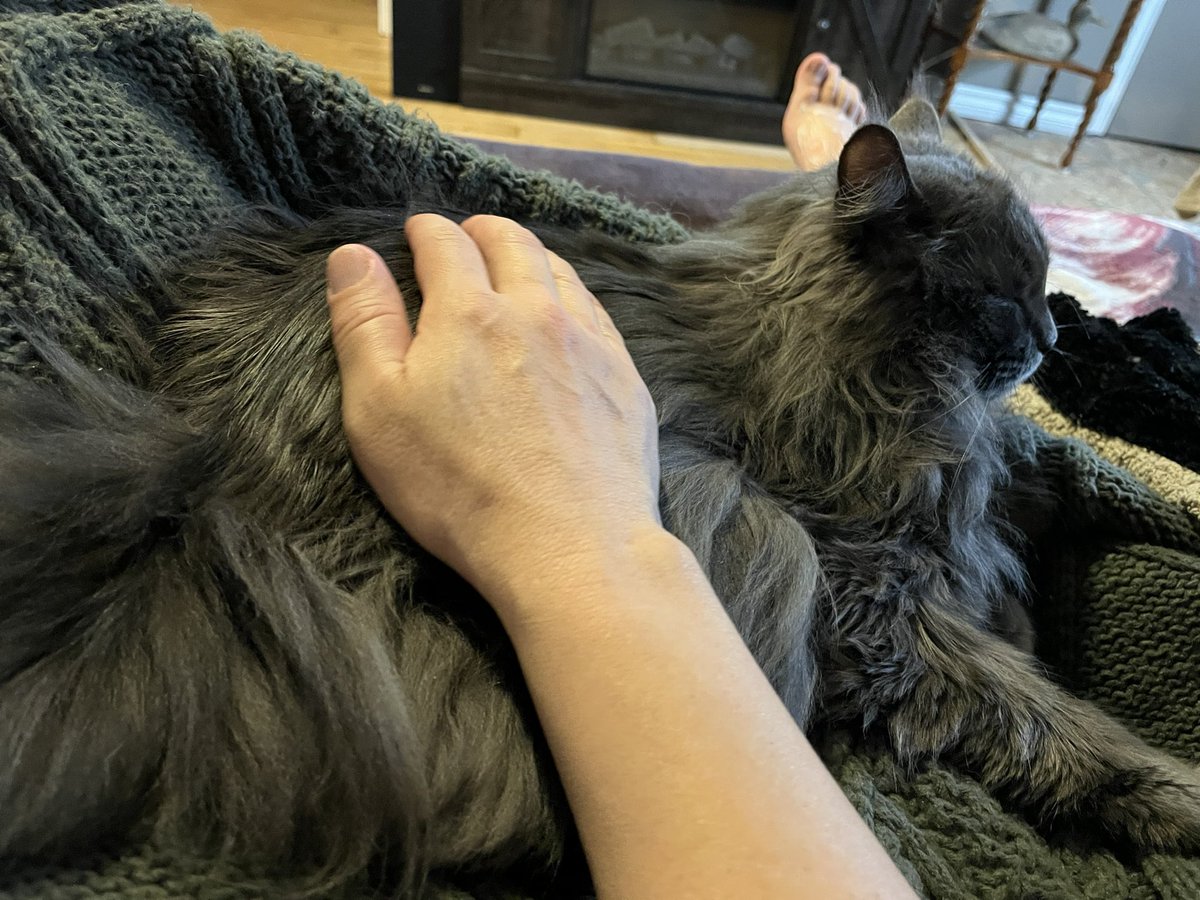 It’s lap time with mom. She’s not feeling too great so I snuggled up with her. I’m not much of a lap cat, but sometimes you just have to make your mom feel better. ❤️❤️❤️🐈‍⬛🐈‍⬛🐈‍⬛ #Sacrifice #goodkitty #cats #WhiskersWednesday