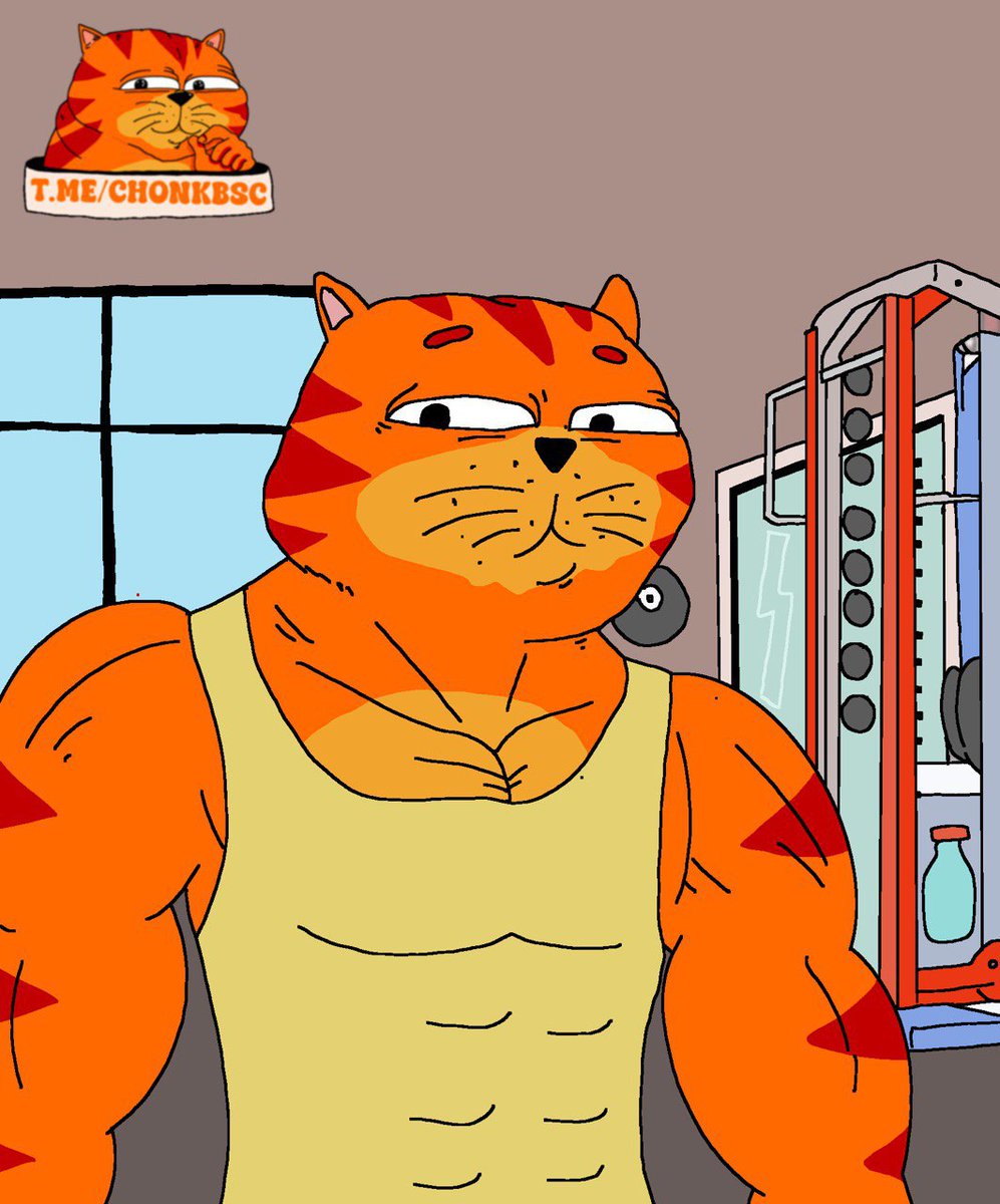 CatSlave2024's tweet photo. @stekisteks Don't miss out on the future king of @BNBCHAIN and future mascot of @binance. https://t.co/uuBj16mVH1