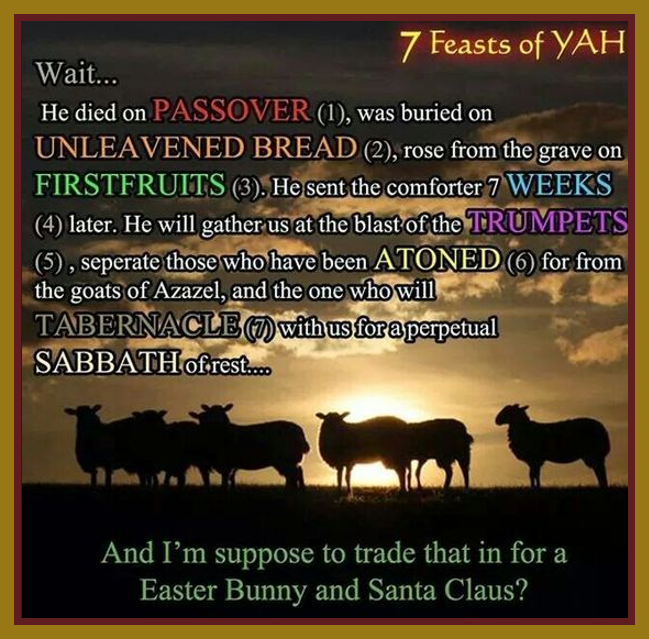 It is insane to think that the owner of this world that created everything, would not have its own Holy Feast Days, that match His character and His amazing way of being, feasts that represent the past and the future. HalleluYAH.
