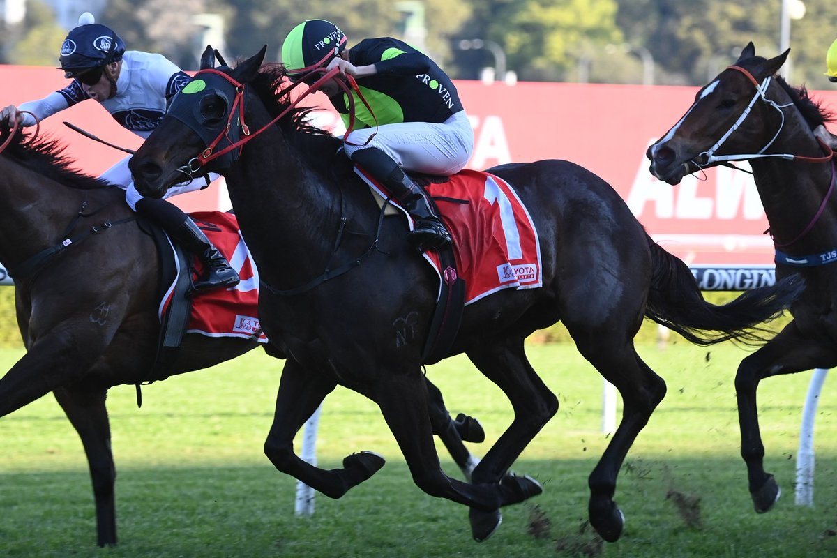 'He's had the right prep to run his best possible 1400m.' Joe Pride is looking for a change of fortune for Private Eye as he steps up in trip in Saturday's G1 All Aged Stakes at Randwick. 📸Steve Hart READ: tinyurl.com/bdchme6k