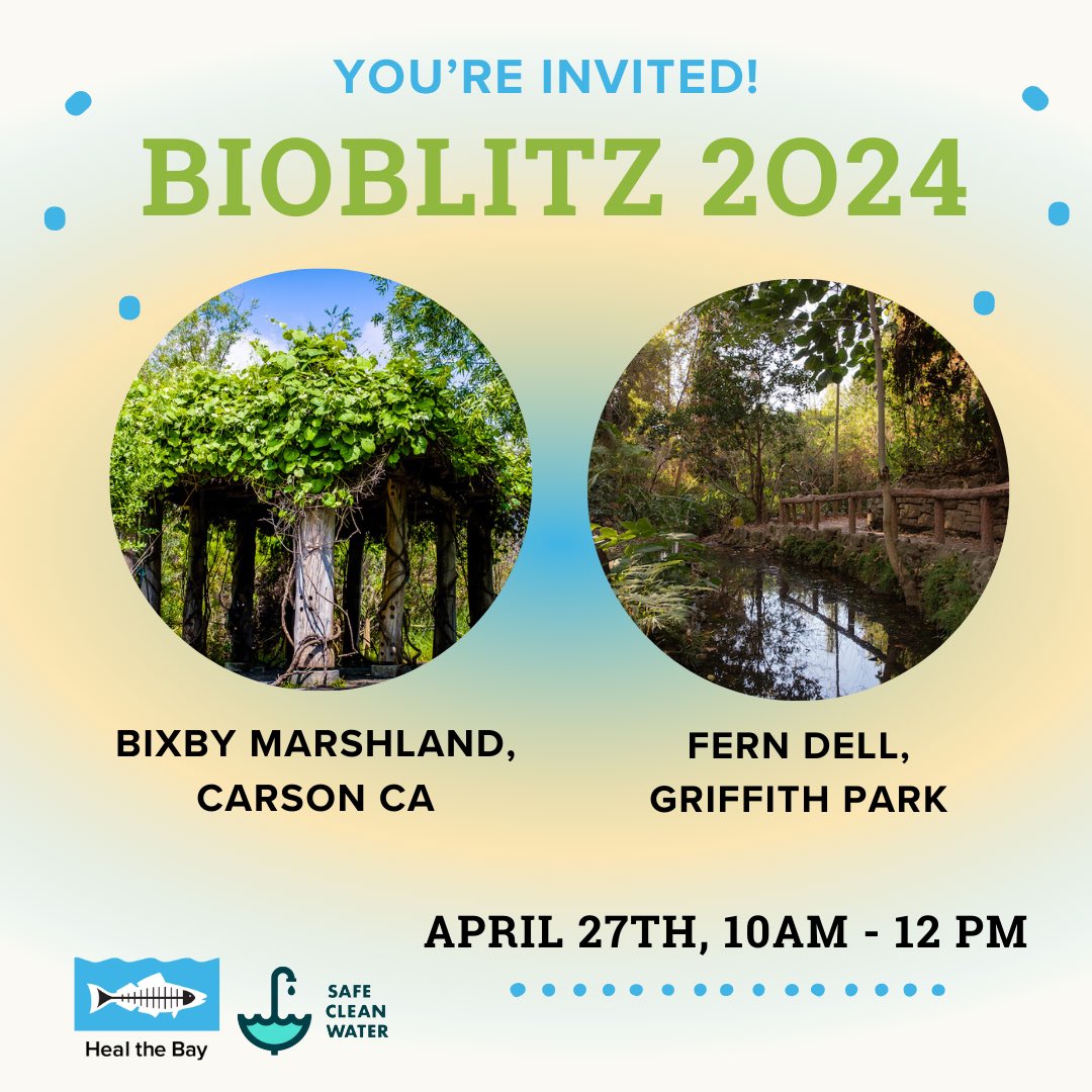 🌿🌍 Join us on April 27th at the enchanting Bixby Marshland or tranquil Fern Dell in Griffith Park for an afternoon of hands-on community science. You won't want to miss this unforgettable eco-adventure! Click here to learn more and register: healthebay.org/.../2024-la-ci…