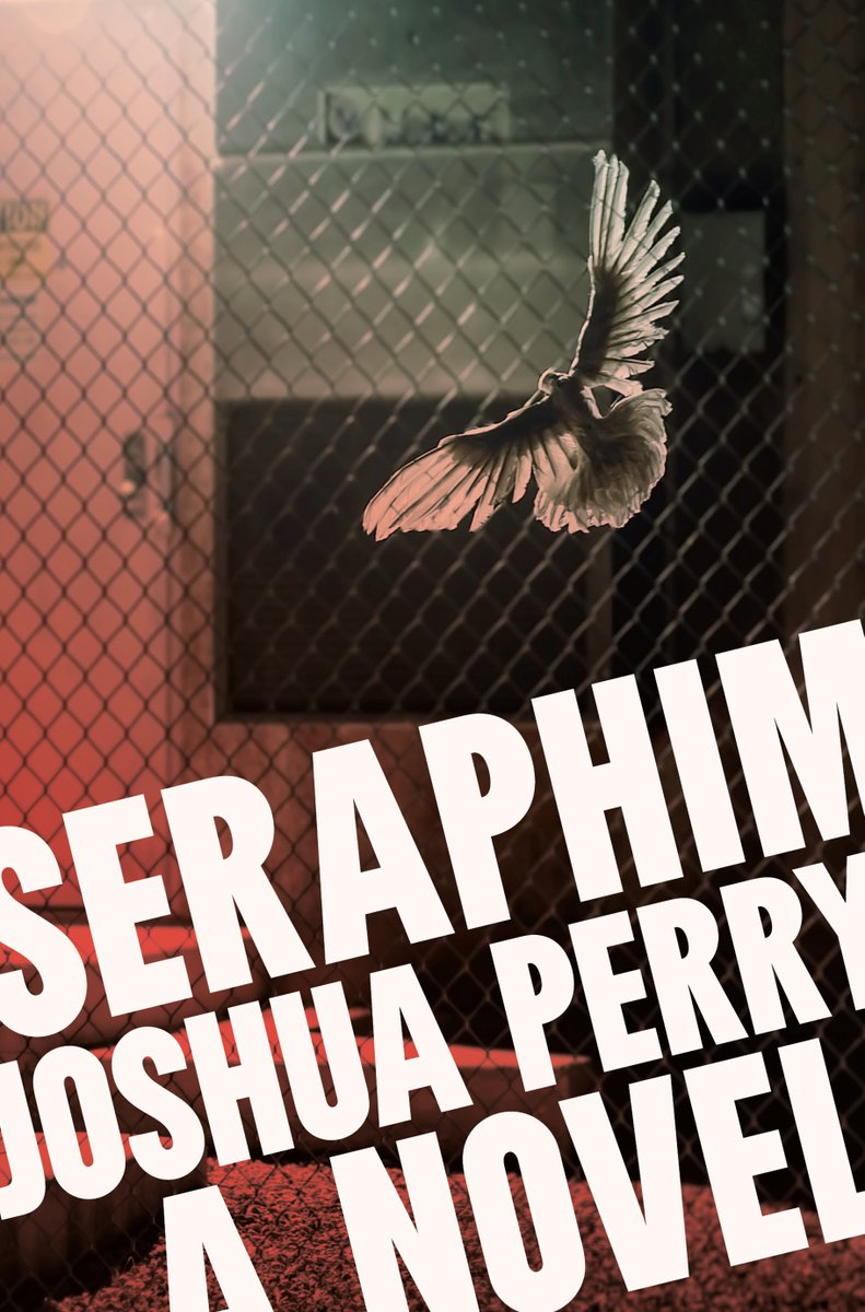 Now through 4/19, my debut novel SERAPHIM, out 7/23/24, is 25% off at Barnes and Noble if you preorder with code PREORDER25. Pick it up now: barnesandnoble.com/w/seraphim-jos…