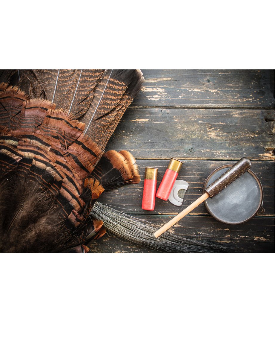 MYFIRSTHUNTPRO's tweet image. Hone your calling techniques for turkey hunting success! Start with soft tree yelps to locate roosted birds, then transition to excited yelps and purrs. Remember, less is often more – don't overcall and let the turkey come to you.

#TurkeyCallingTips #HuntingSkills #TurkeyCall